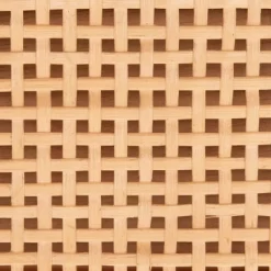 Baisley 2 Drawer Rattan Console Table - Natural - Safavieh -Safavieh Store GUEST 7706333a a61c 4e90 b3a1 dce68d4bc4a3